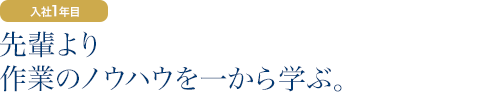 入社1年目：先輩より作業のノウハウを一から学ぶ。